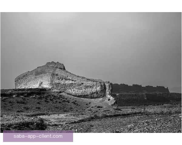 锡安回忆中国之行 长城登顶成为人生难忘的珍贵经历