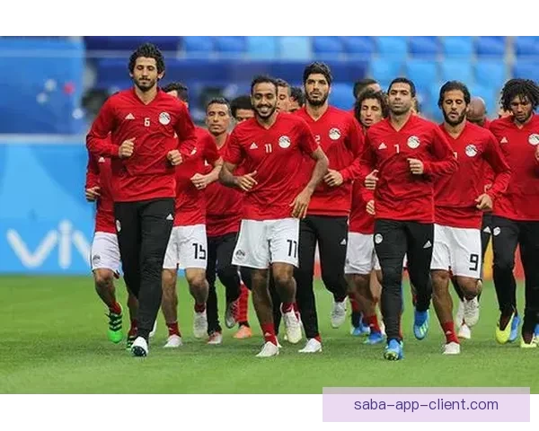 世界杯竞猜胜负网站权威推荐与实时比分数据分析攻略大全